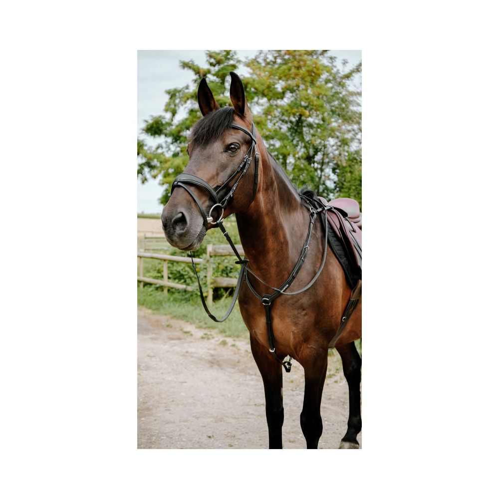 Bridon endurance NORTON Pop