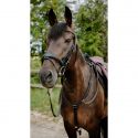 Bridon endurance NORTON Pop
