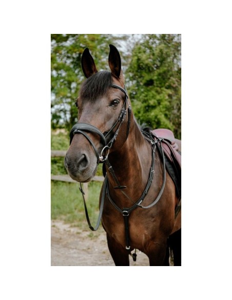 Bridon endurance NORTON Pop