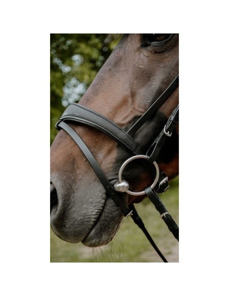 Bridon endurance NORTON Pop