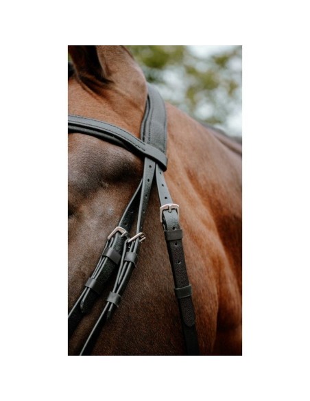 Bridon endurance NORTON Pop