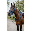 Bridon endurance NORTON Pop