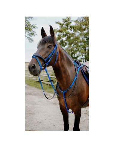 Bridon endurance NORTON Pop
