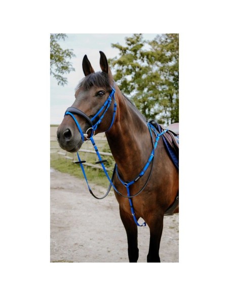 Bridon endurance NORTON Pop