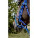 Bridon endurance NORTON Pop