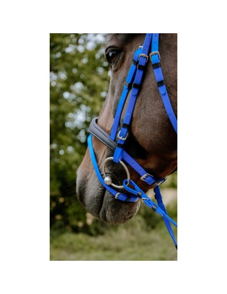 Bridon endurance NORTON Pop
