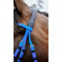 Bridon endurance NORTON Pop