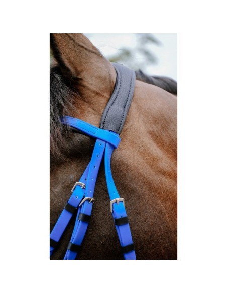 Bridon endurance NORTON Pop