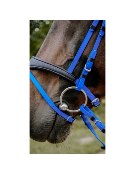 Bridon endurance NORTON Pop