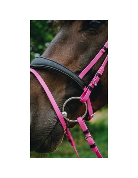 Bridon endurance NORTON Pop