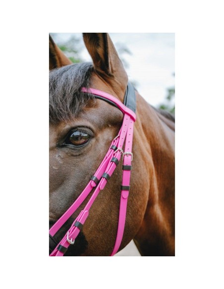 Bridon endurance NORTON Pop