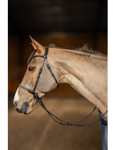 Bridon sans mors freedom HFI MASTER 2