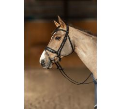 Bridon pull-back edges HFI