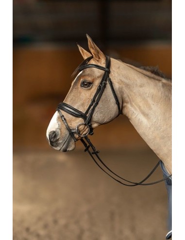 Bridon pull-back edges HFI