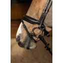 Bridon pull-back edges HFI