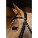 Bridon pull-back edges HFI