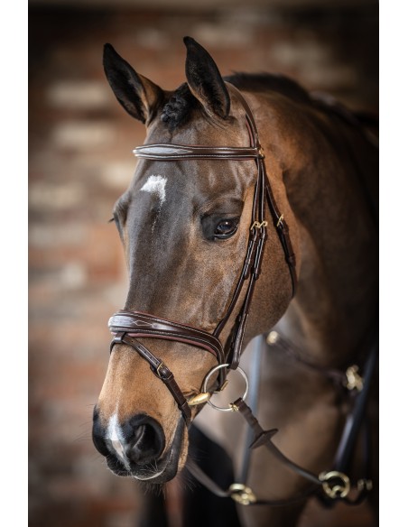 Bridon Competition Flash havana LeMieux