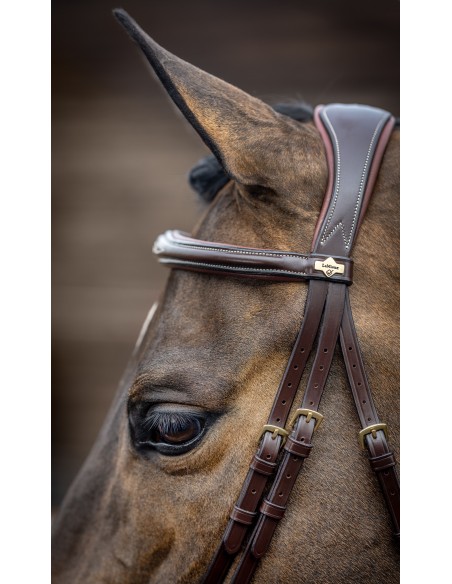 Bridon Competition Flash havana LeMieux