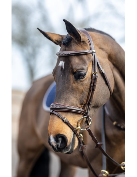Bridon Competition Flash havana LeMieux
