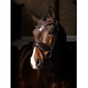 Bridon Kudos de dressage Patent LeMieux
