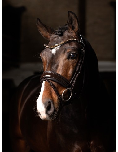 Bridon Kudos de dressage Patent LeMieux