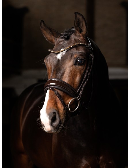 Bridon Kudos de dressage Patent LeMieux