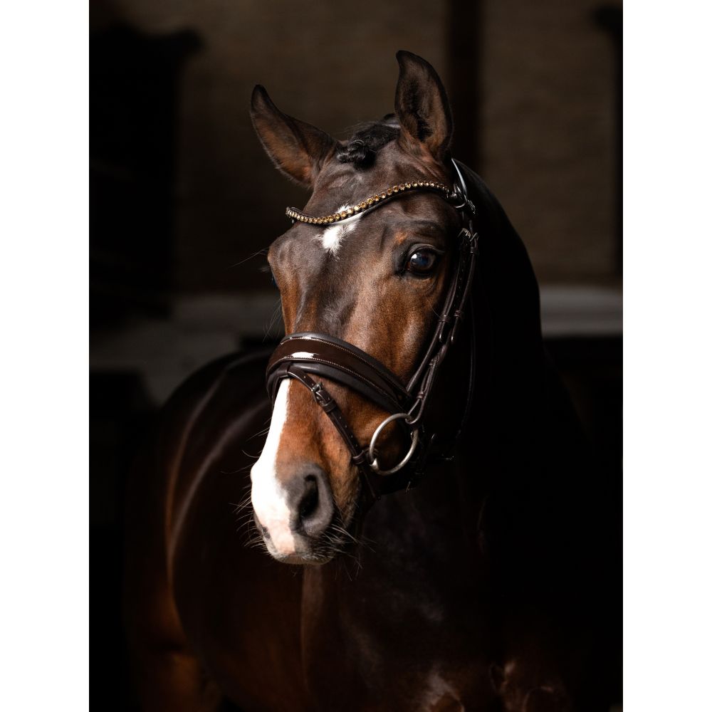 Bridon Kudos de dressage Patent LeMieux