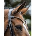 Bridon Kudos de dressage Patent LeMieux