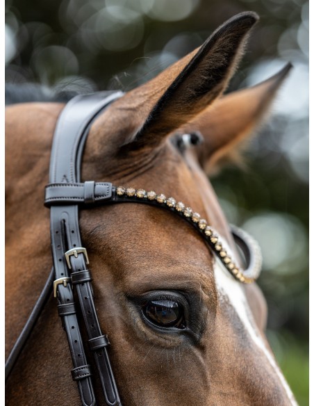 Bridon Kudos de dressage Patent LeMieux