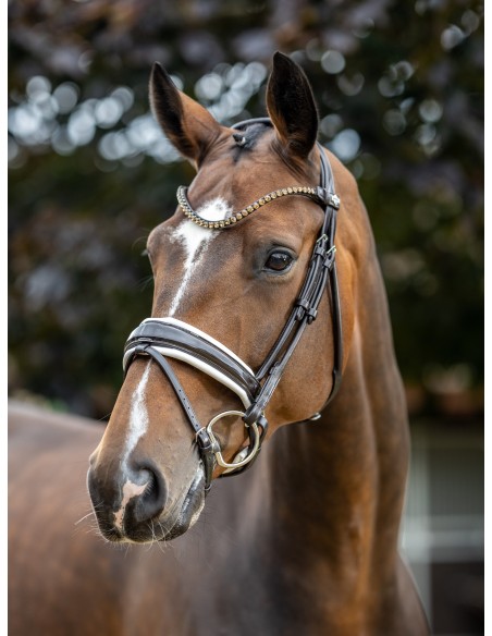 Bridon Kudos de dressage Patent LeMieux