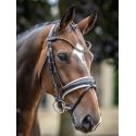 Bridon Kudos de dressage Patent LeMieux