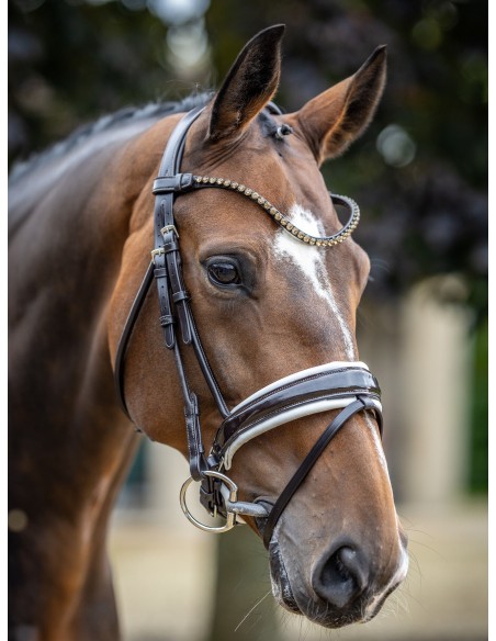 Bridon Kudos de dressage Patent LeMieux