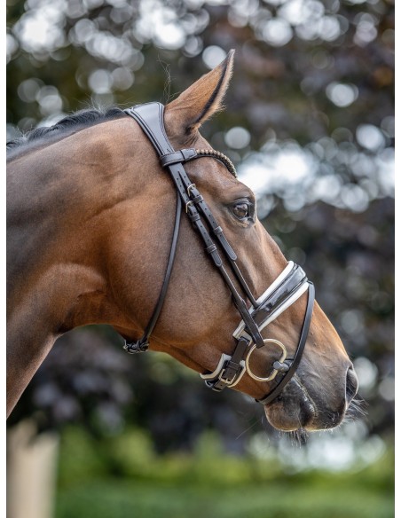 Bridon Kudos de dressage Patent LeMieux