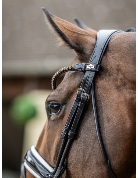 Bridon Kudos de dressage Patent LeMieux