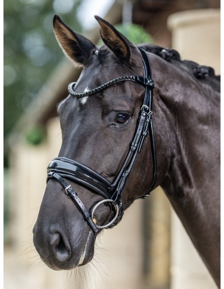 Bridon Kudos de dressage Patent LeMieux