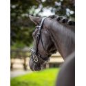 Bridon Kudos de dressage Patent LeMieux