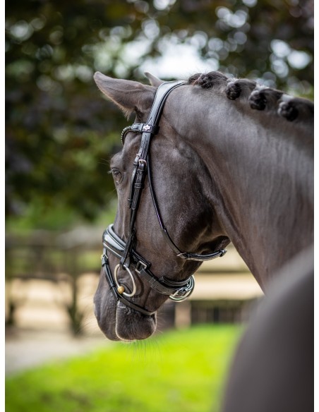 Bridon Kudos de dressage Patent LeMieux