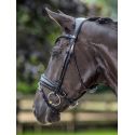 Bridon Kudos de dressage Patent LeMieux