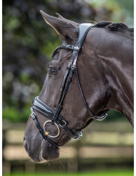 Bridon Kudos de dressage Patent LeMieux