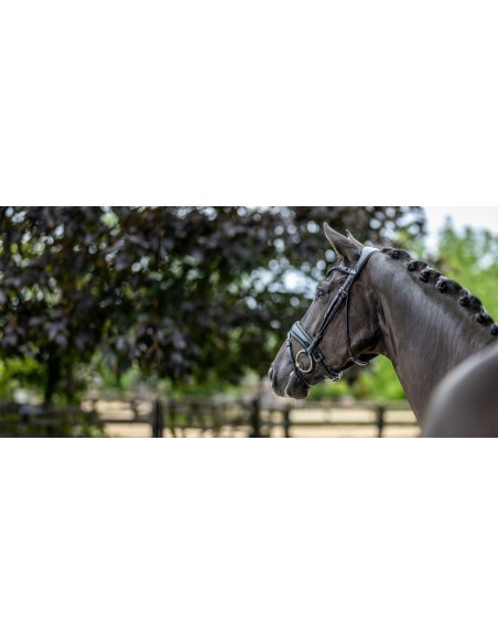 Bridon Kudos de dressage Patent LeMieux