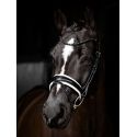 Bridon Kudos de dressage Patent LeMieux