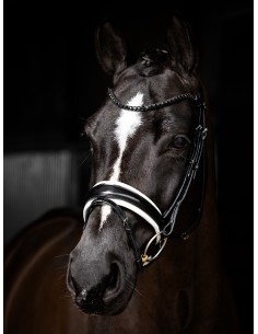 Bridon Kudos de dressage Patent LeMieux 2