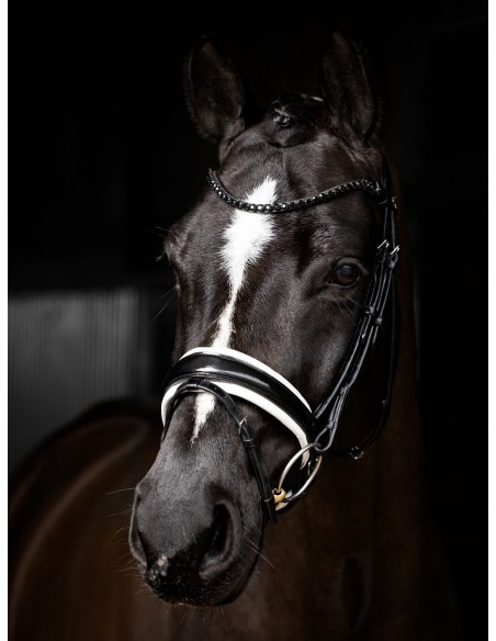 Bridon Kudos de dressage Patent LeMieux