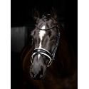 Bridon Kudos de dressage Patent LeMieux