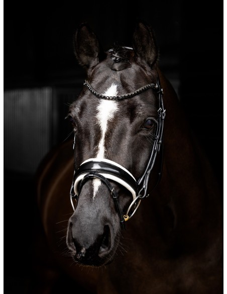 Bridon Kudos de dressage Patent LeMieux