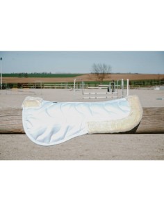 Amortisseur RIDING WORLD - EK-Maxifun