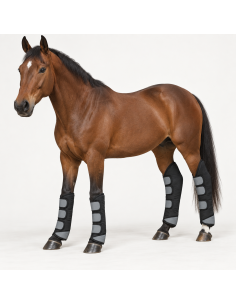 Transportgamaschen 600D EE - Robuster Schutz & Pflegeleicht | Esprit-Reiten