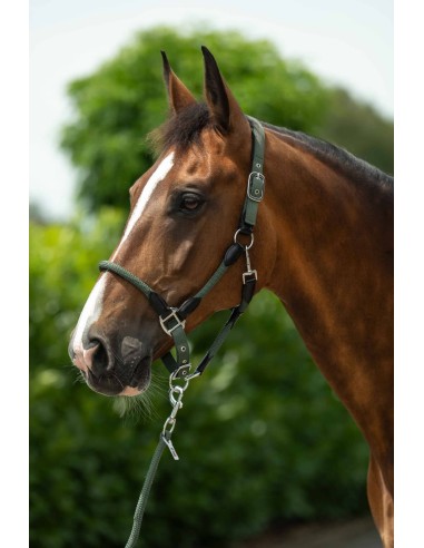 Cabezada y rienda Carlotta HKM, de cuero y cuerda | Esprit Équitation