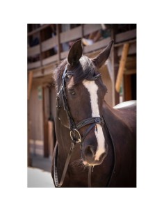 Cabezada Smoothie Pearl Thoroughbred Snaffle
