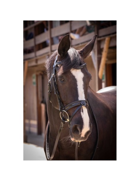 Cabezada Smoothie Pearl Thoroughbred Snaffle